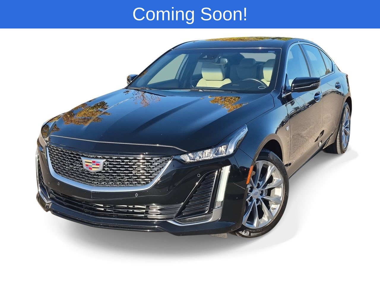 2024 Cadillac CT5