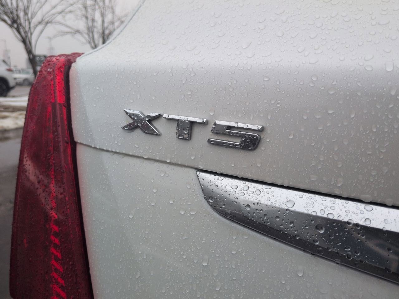 Thumbnail: 2017 Cadillac XT5 - 12