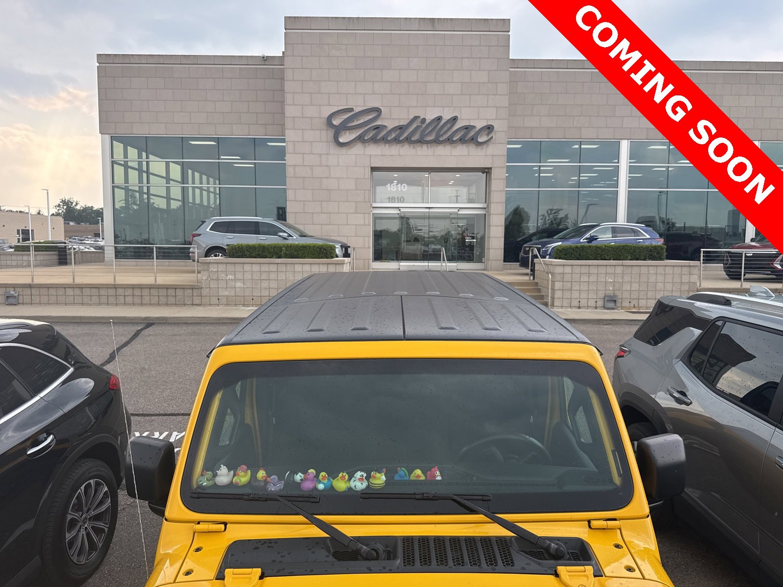 Thumbnail: 2021 Jeep Wrangler - 15