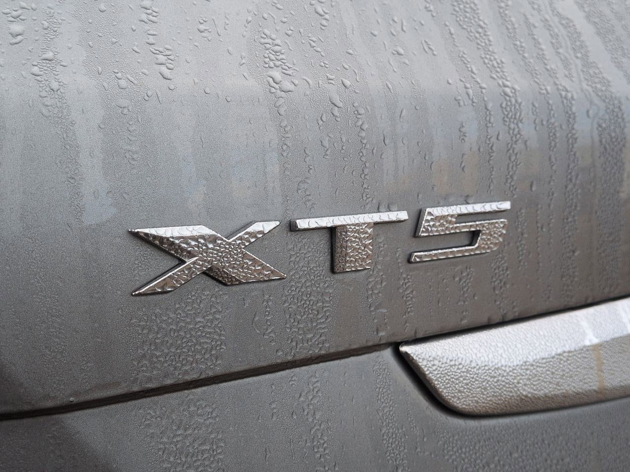 Thumbnail: 2023 Cadillac XT5 - 12