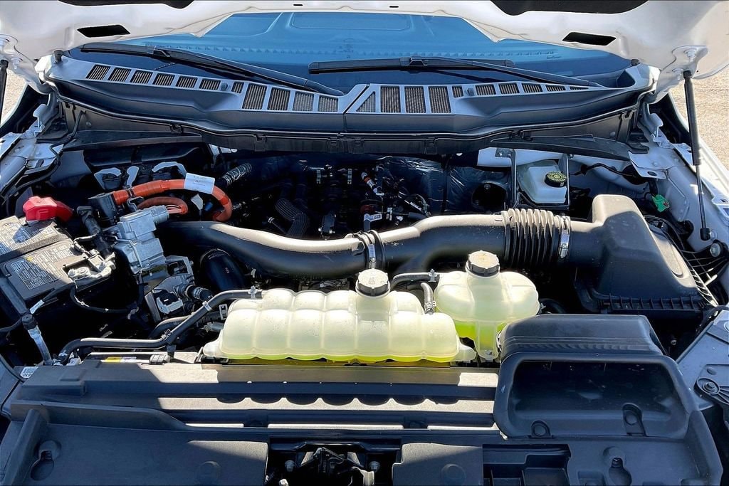 2025 Ford F-150 XLT - Photo 9