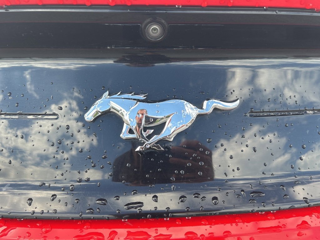 2018 Ford Mustang Convertible photo 4