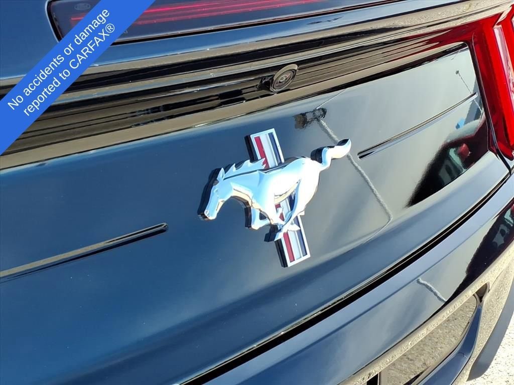Thumbnail: 2021 Ford Mustang - 13