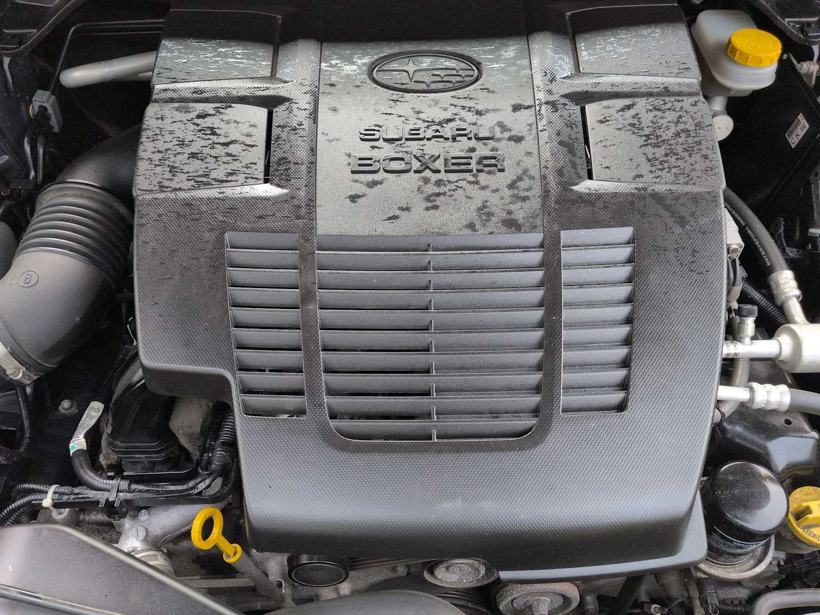 Thumbnail: 2019 Subaru Forester - 15