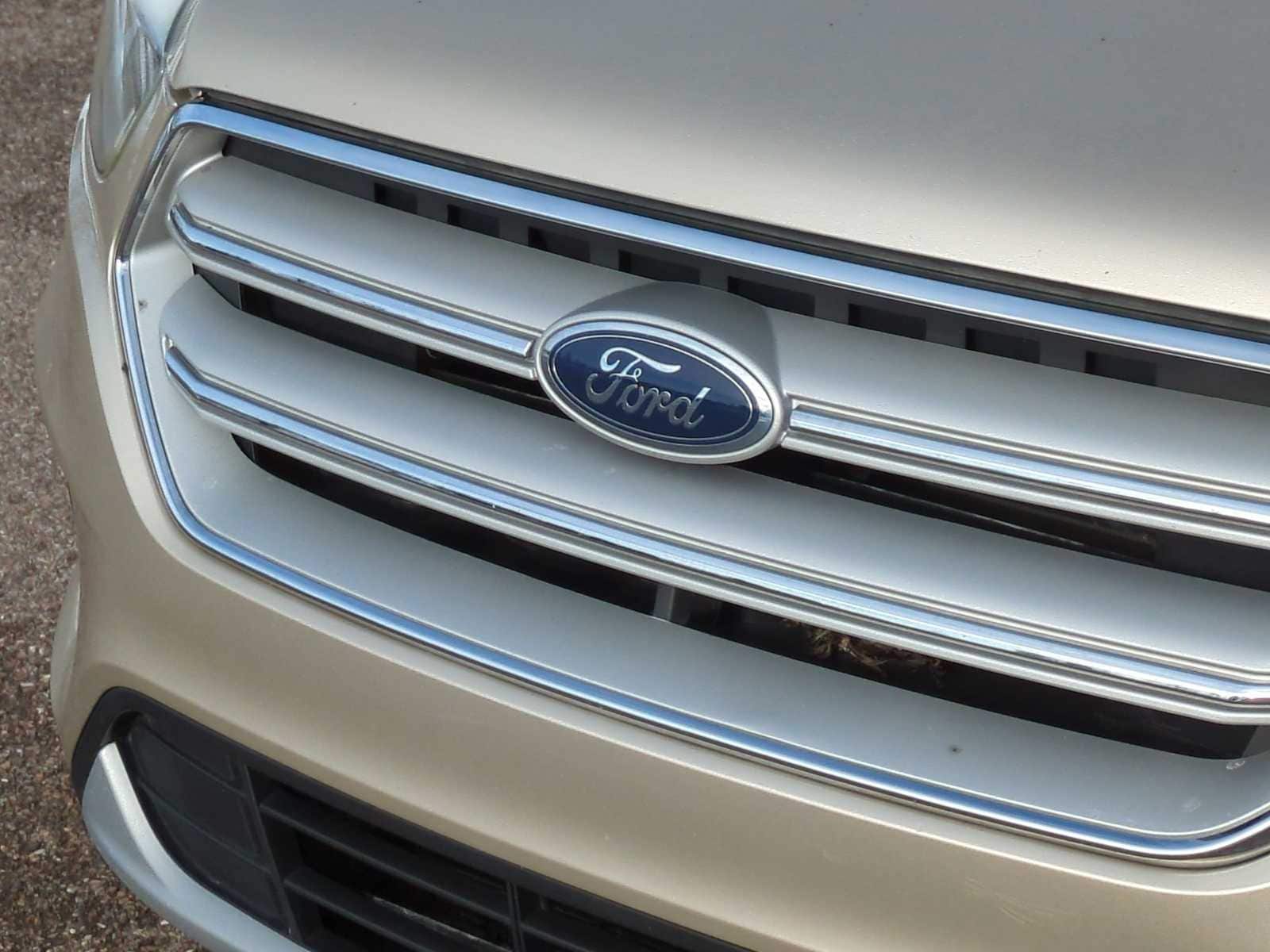 Thumbnail: 2018 Ford Escape - 12