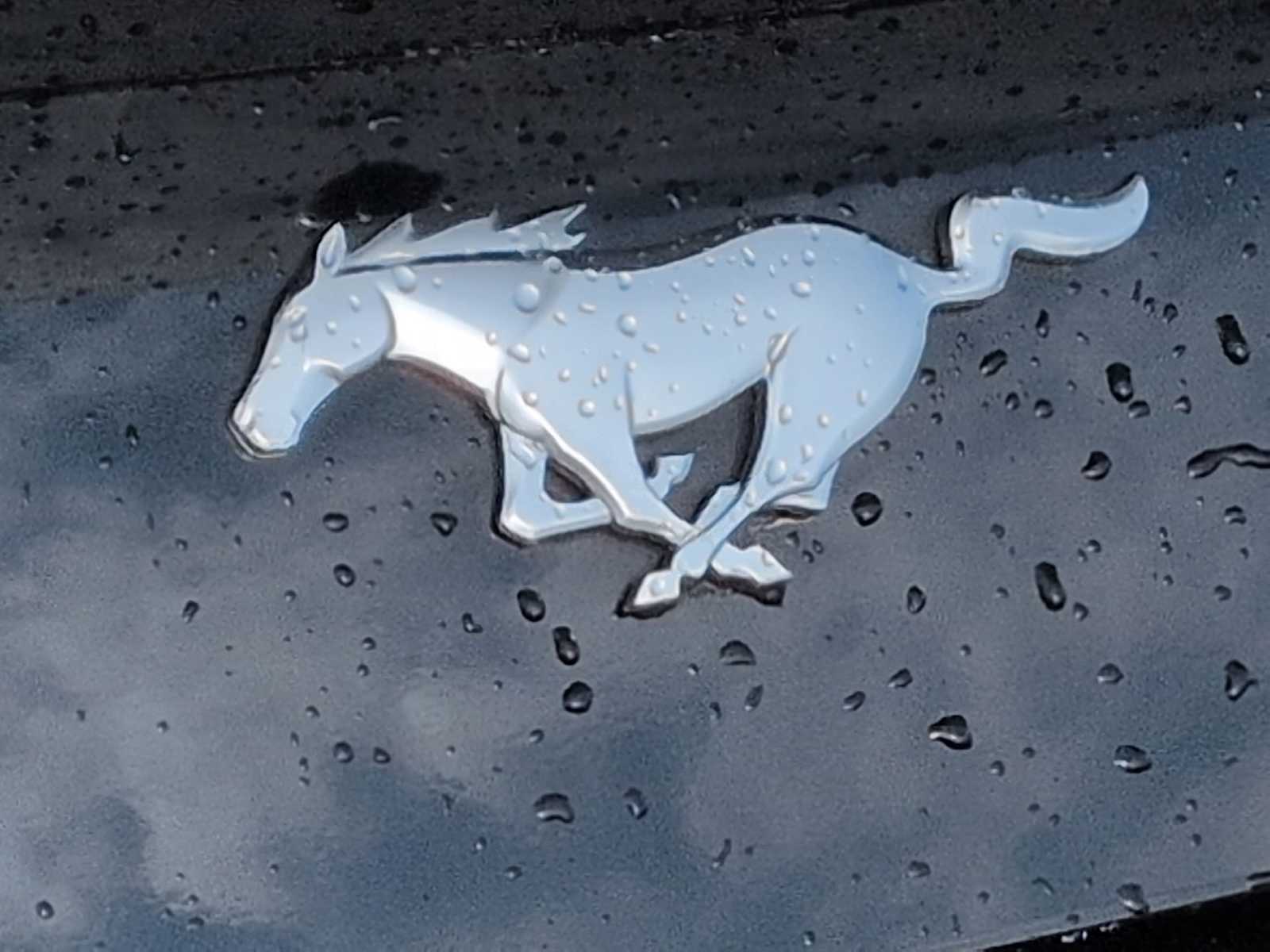 Thumbnail: 2024 Ford Mustang - 20