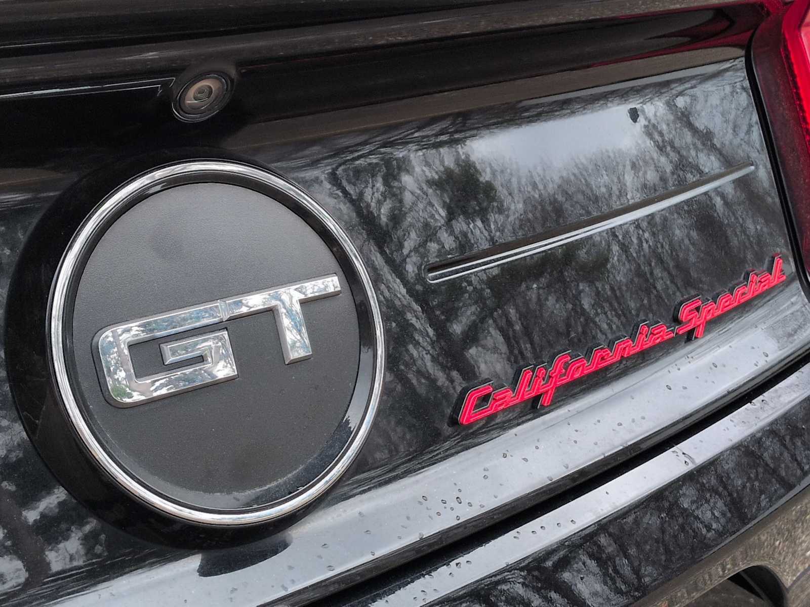 Thumbnail: 2019 Ford Mustang - 14