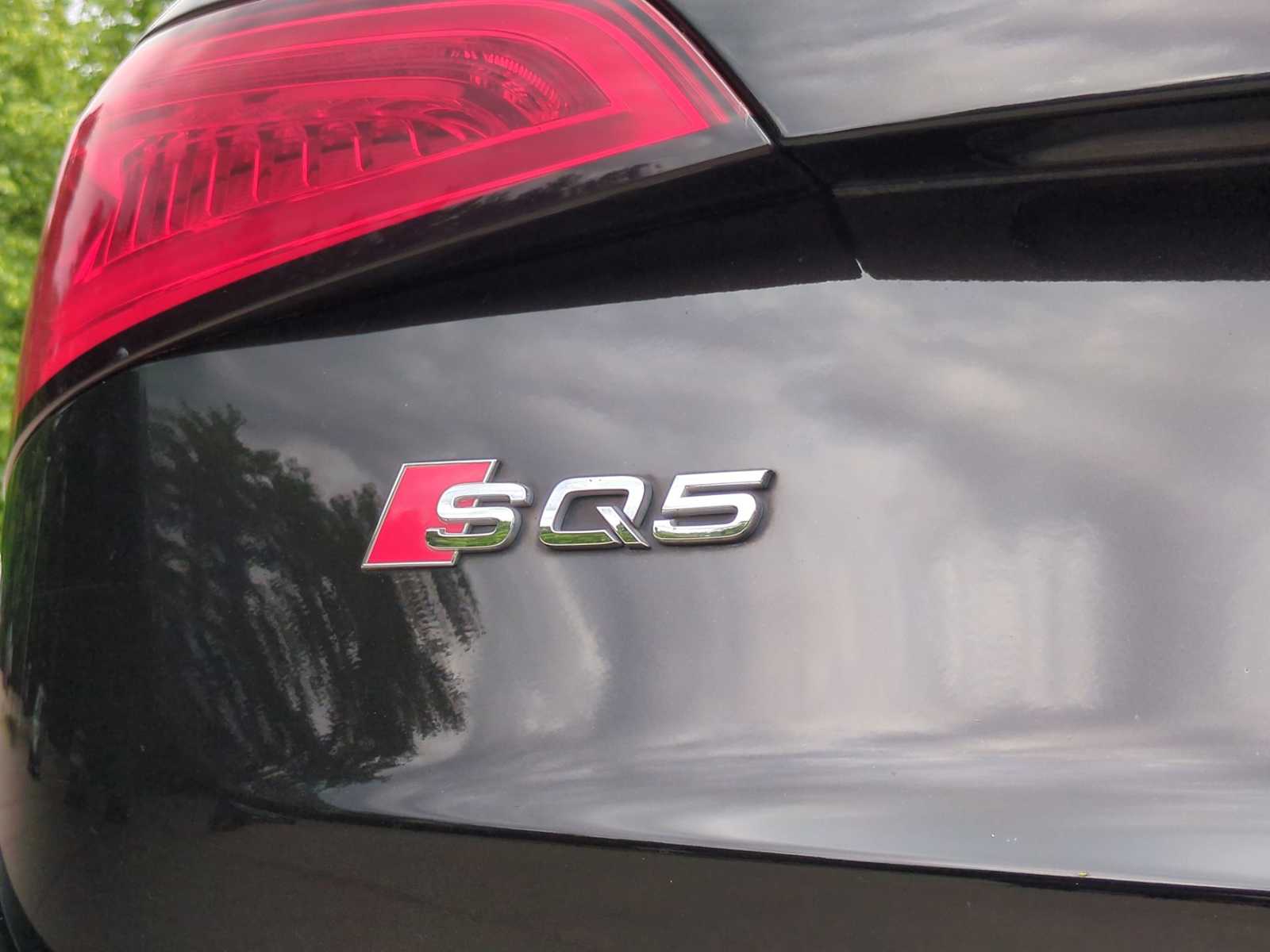 Thumbnail: 2015 Audi SQ5 - 13