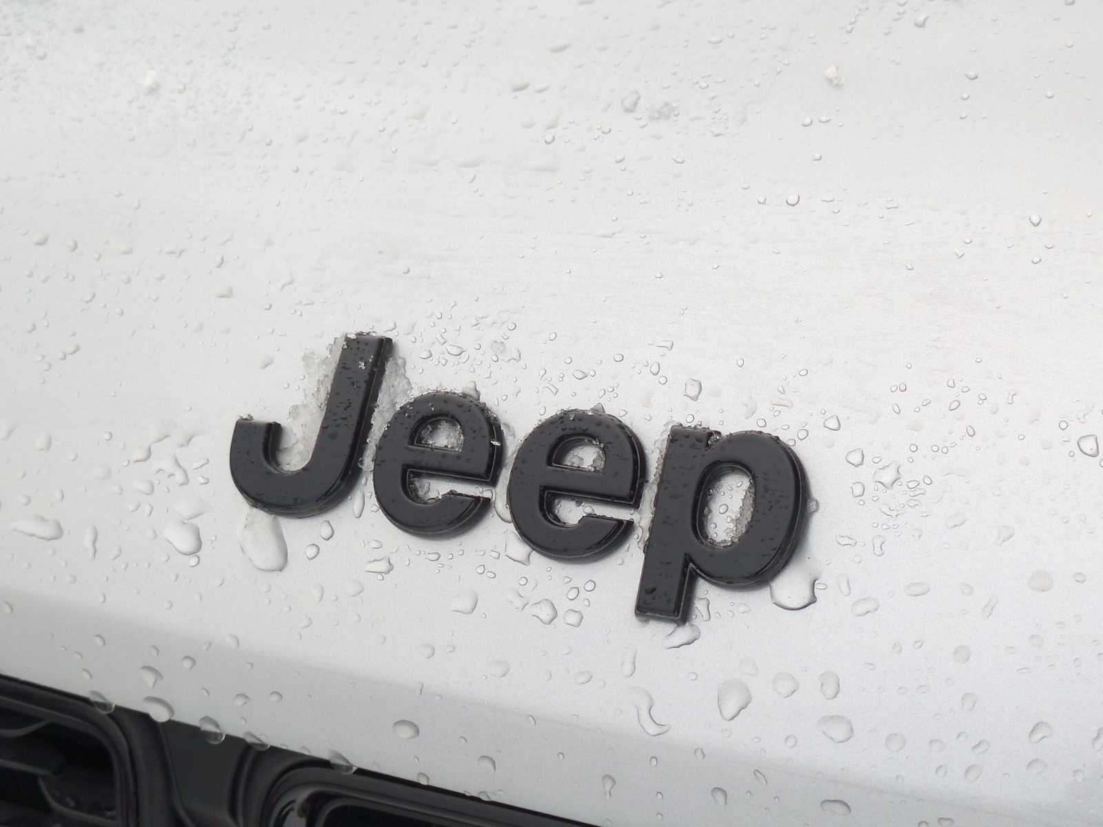 Thumbnail: 2025 Jeep Grand Cherokee L - 12