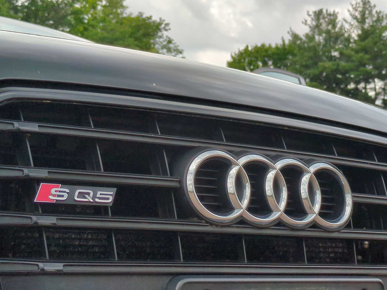 Thumbnail: 2015 Audi SQ5 - 12