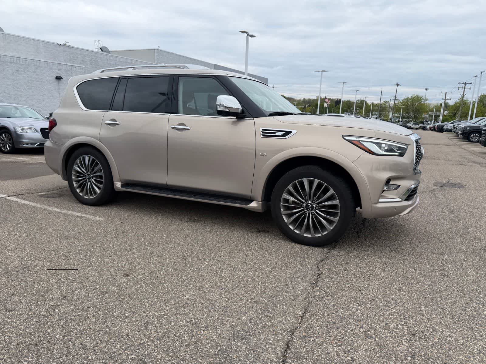Thumbnail: 2019 INFINITI QX80 - 10