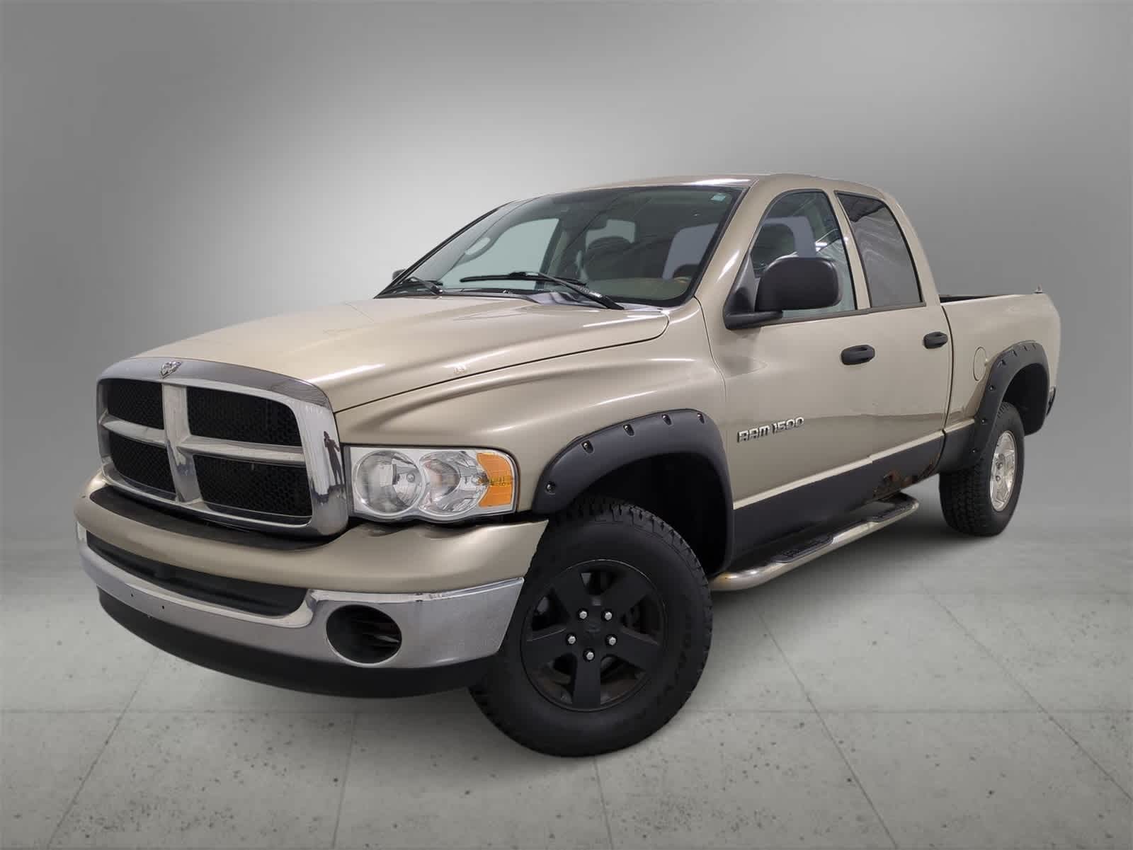 2004 Dodge Ram 1500 SLT -
                  Farmington Hills, MI