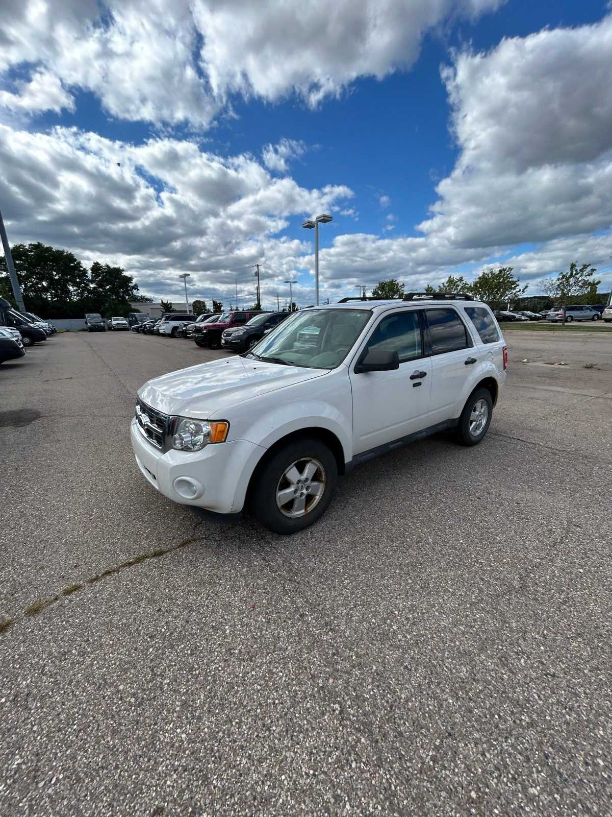 2011 Ford Escape XLT -
                  Farmington Hills, MI