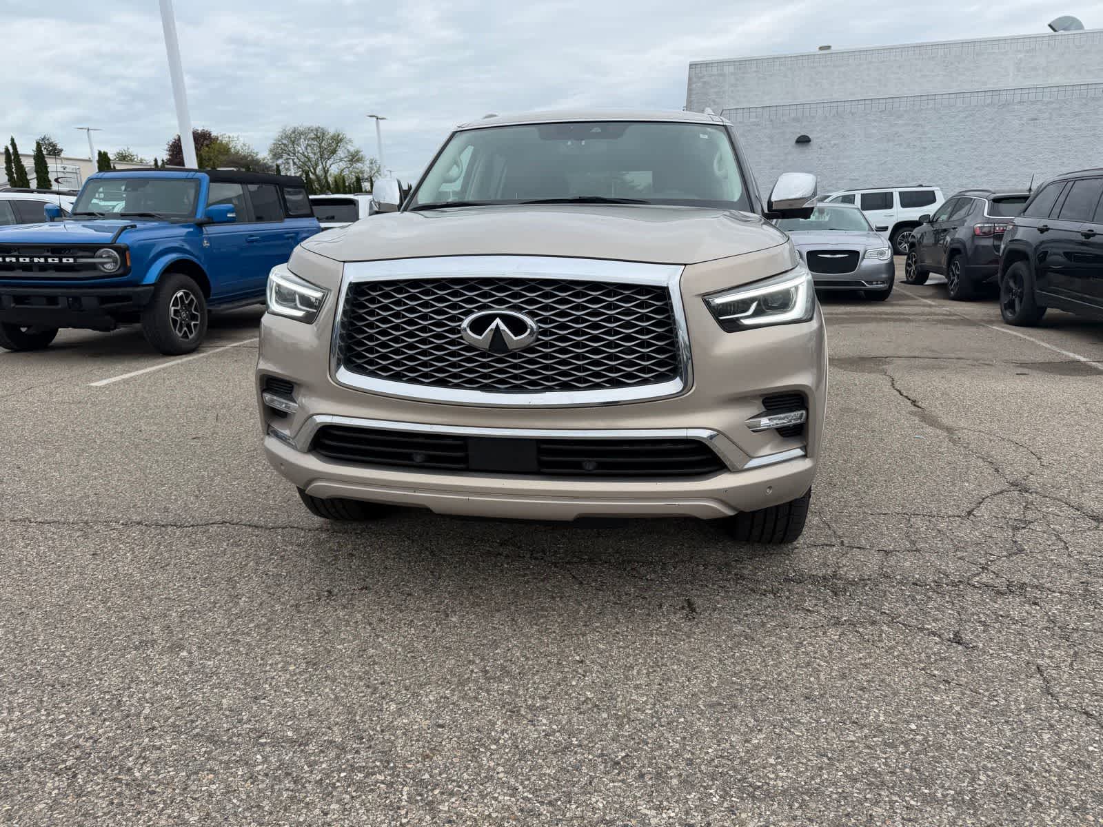 Thumbnail: 2019 INFINITI QX80 - 5