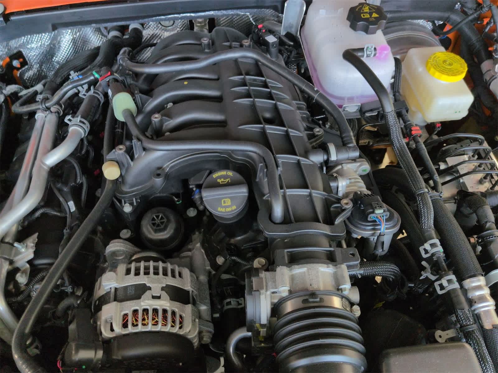 Thumbnail: 2025 Jeep Wrangler - 15