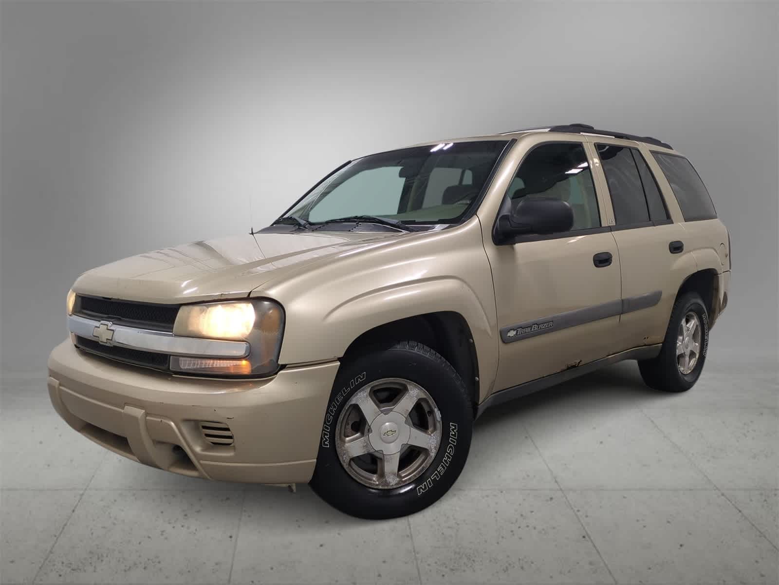 2004 Chevrolet TrailBlazer LS -
                  Farmington Hills, MI