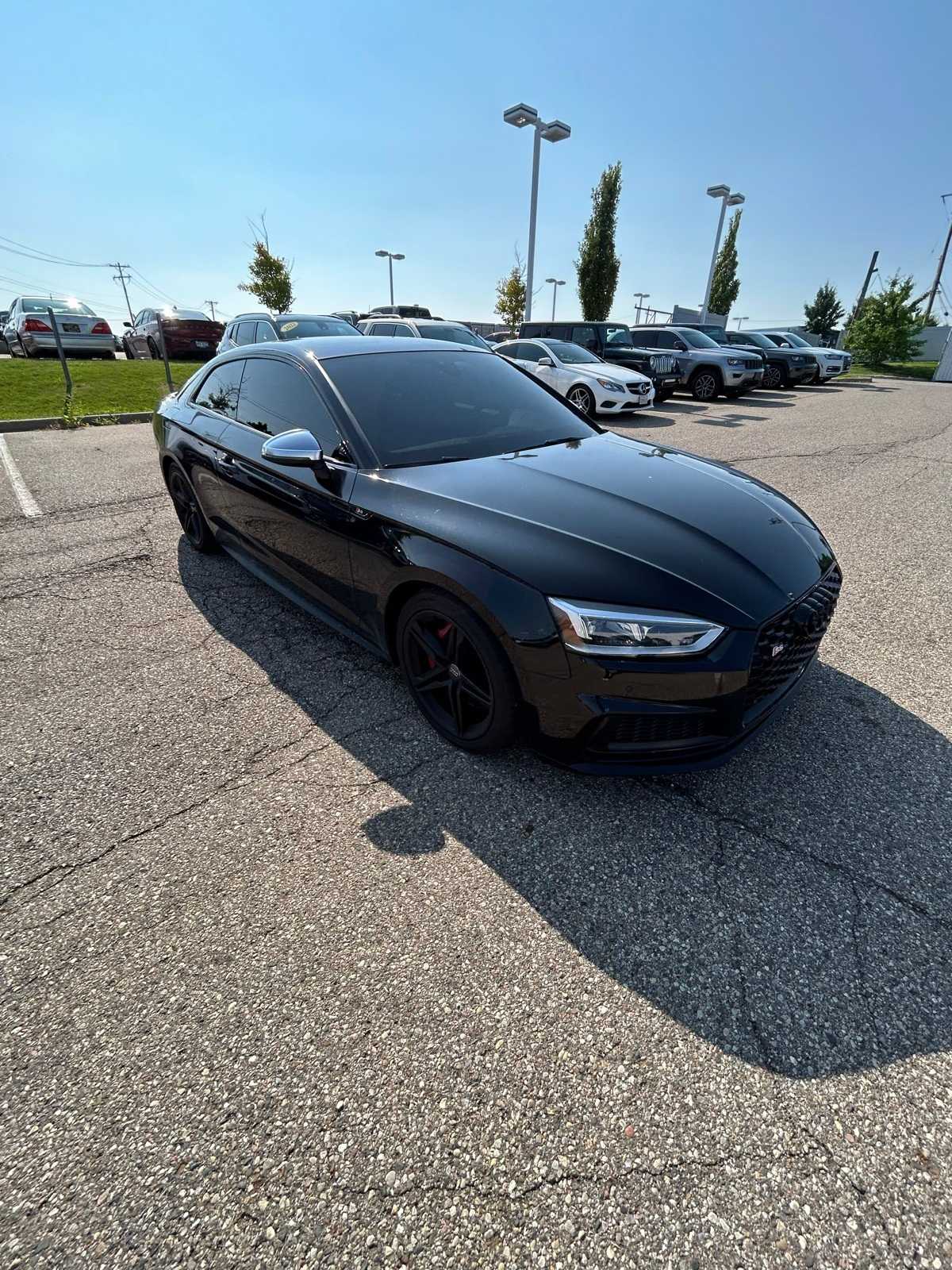 Thumbnail: 2019 Audi S5 - 8