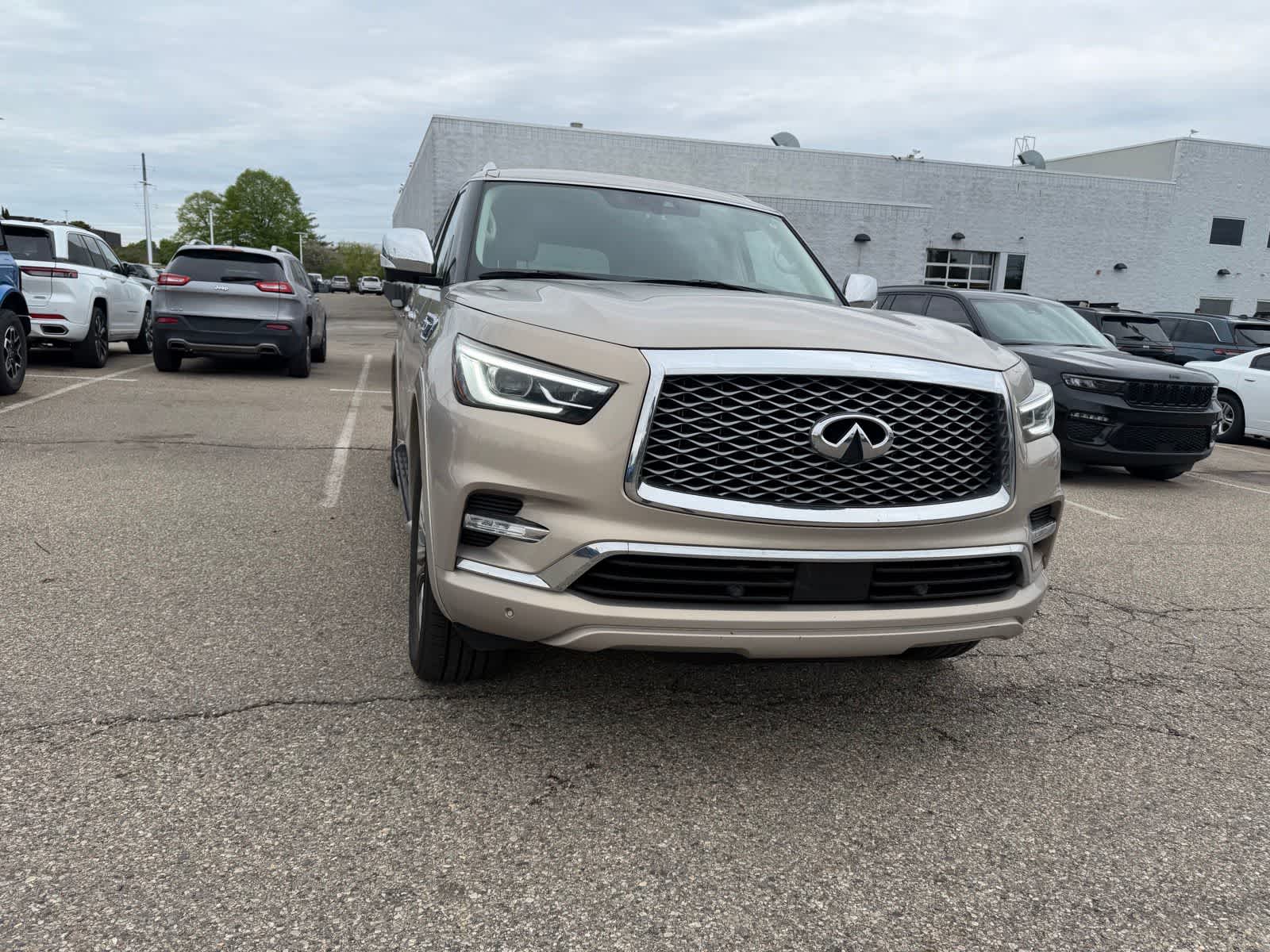 Thumbnail: 2019 INFINITI QX80 - 9