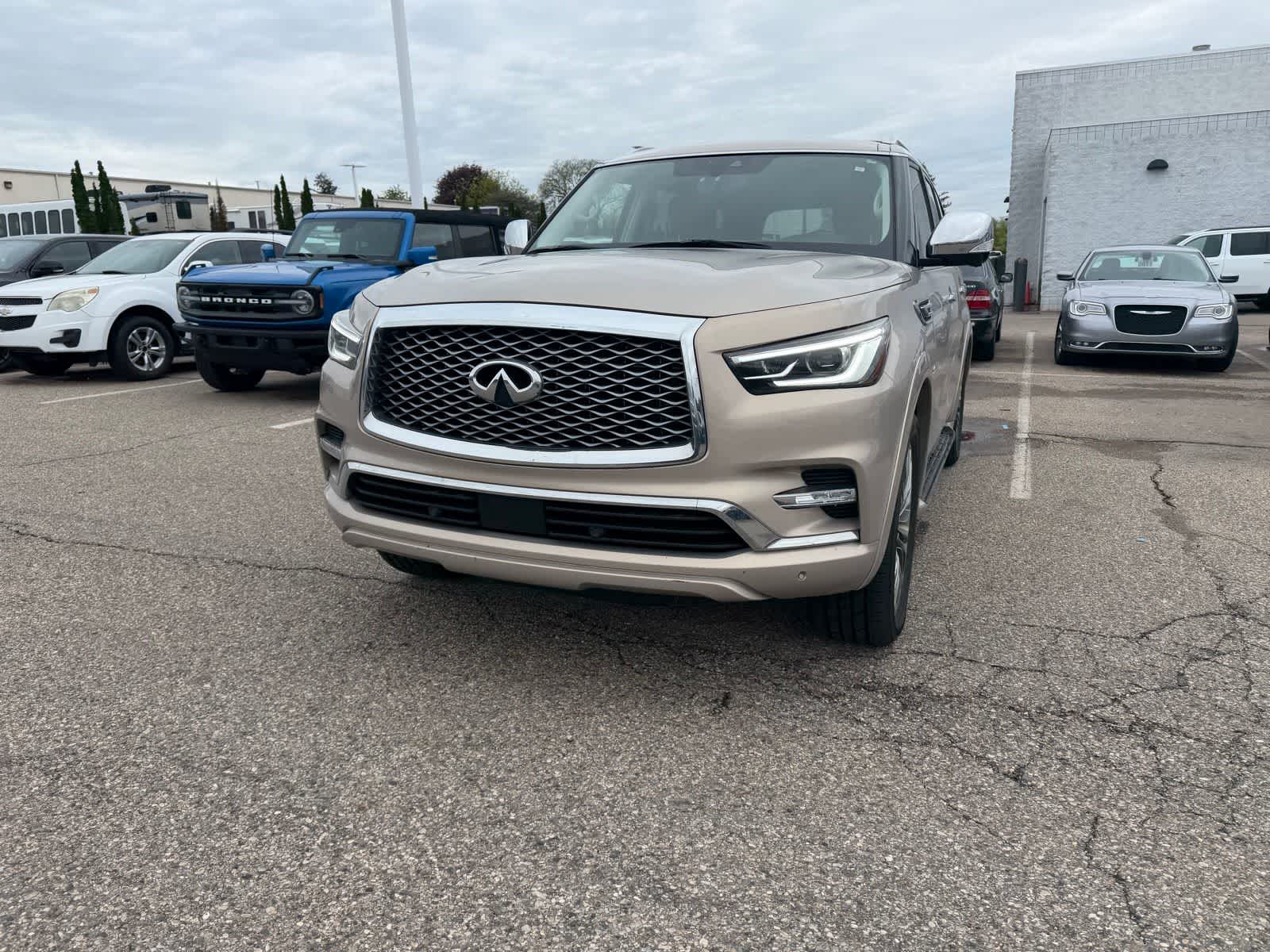 Thumbnail: 2019 INFINITI QX80 - 6