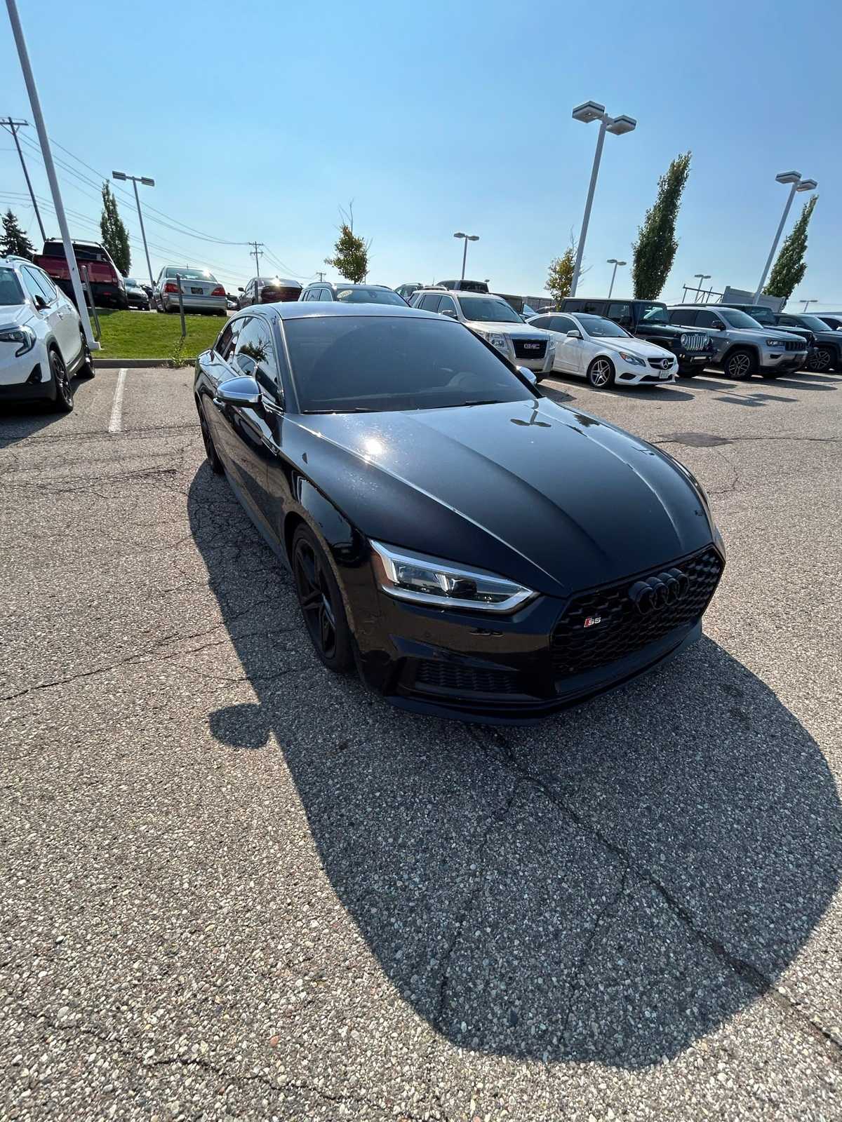 Thumbnail: 2019 Audi S5 - 9