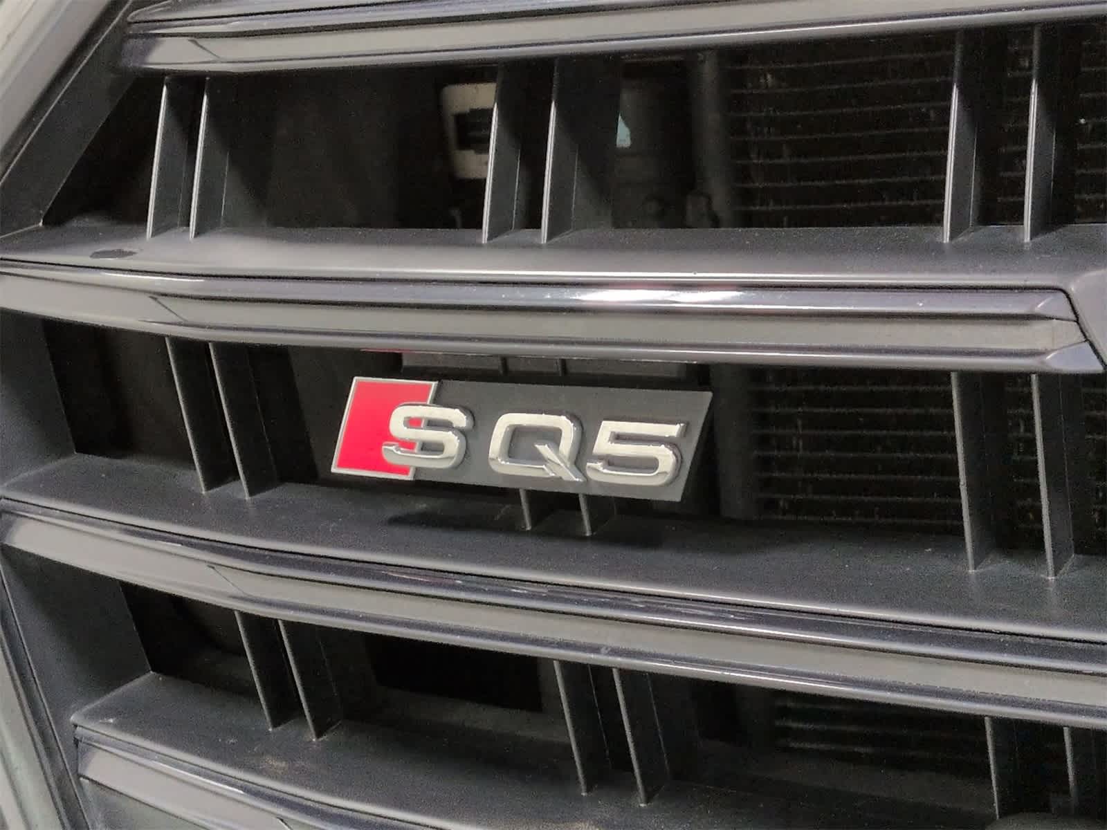 Thumbnail: 2019 Audi SQ5 - 13