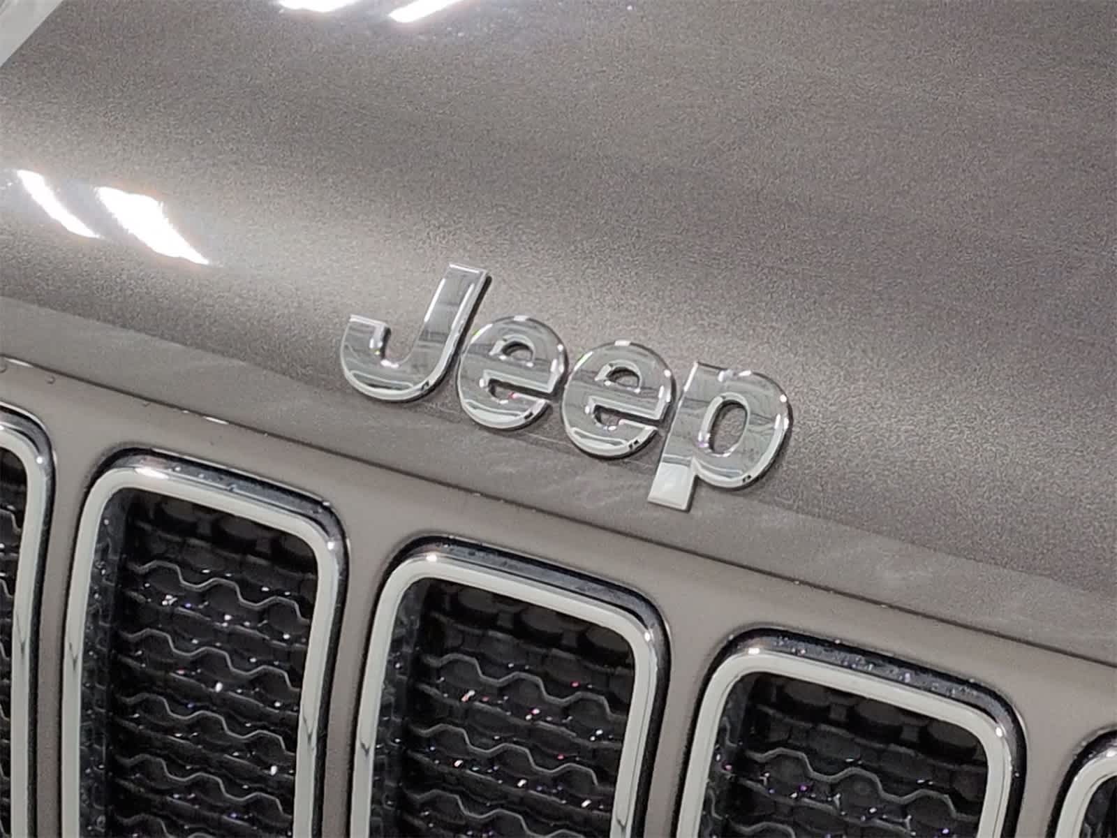 Thumbnail: 2019 Jeep Renegade - 12