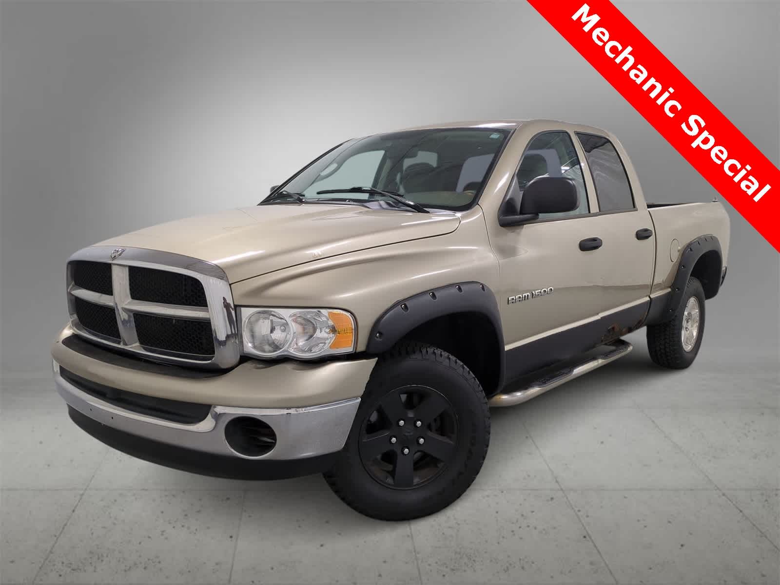 2004 Dodge Ram 1500 SLT -
                  Farmington Hills, MI
