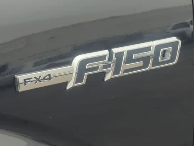 Thumbnail: 2010 Ford F-150 - 13