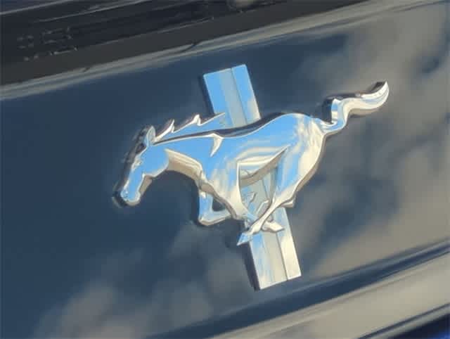 Thumbnail: 2016 Ford Mustang - 14