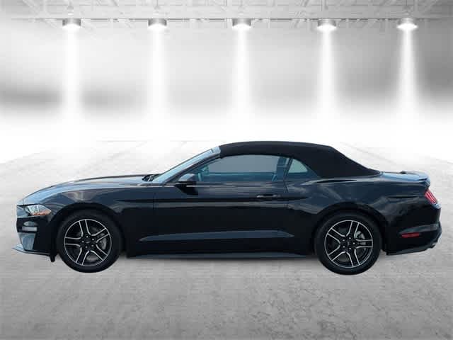 Thumbnail: 2023 Ford Mustang - 5