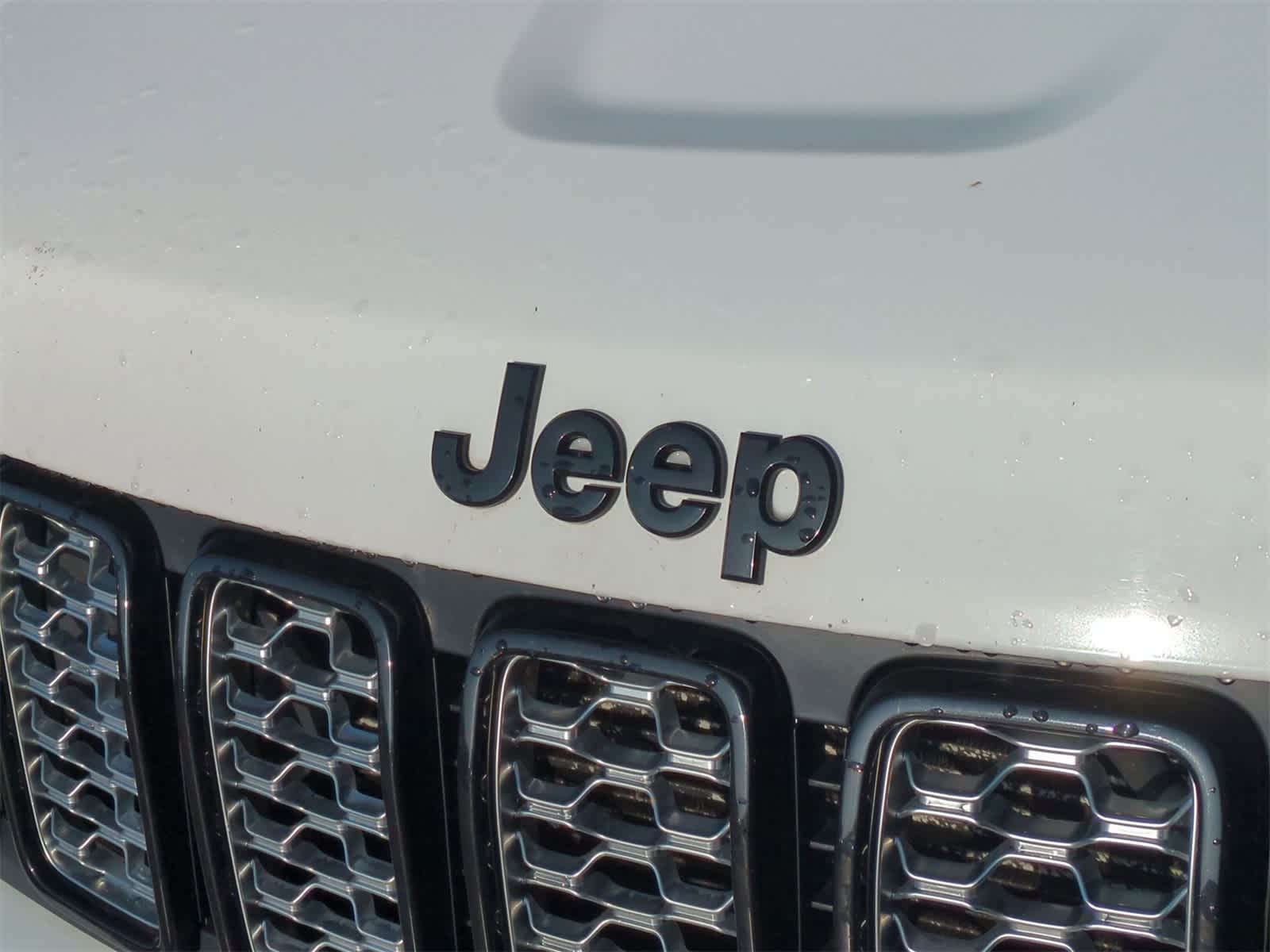 Thumbnail: 2020 Jeep Grand Cherokee - 12