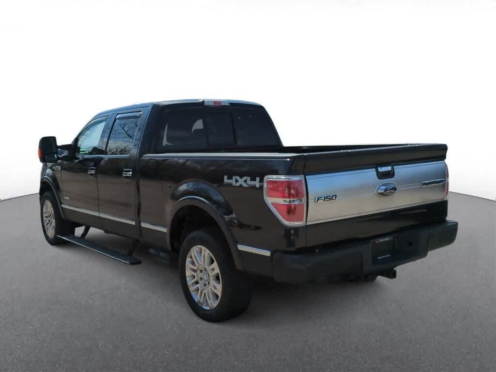 2013 Ford F-150 Platinum 6