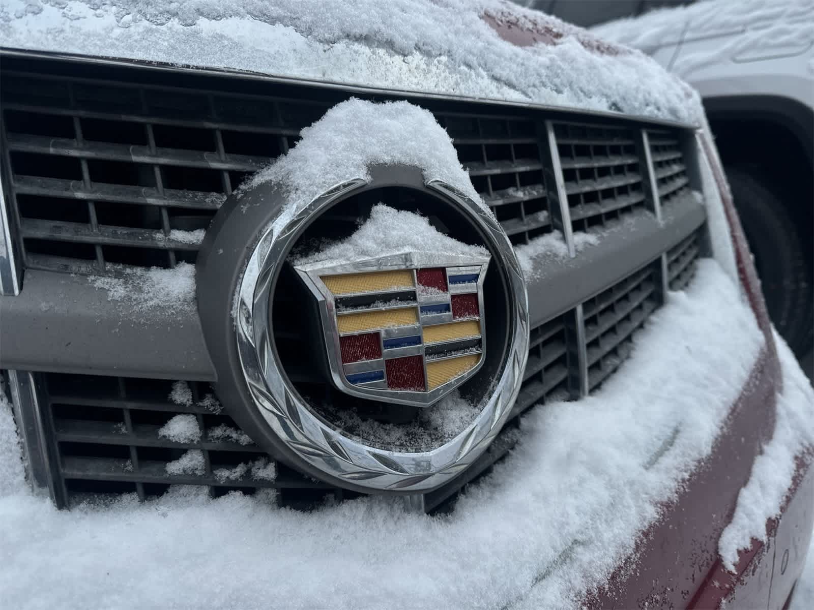 Thumbnail: 2010 Cadillac SRX - 12