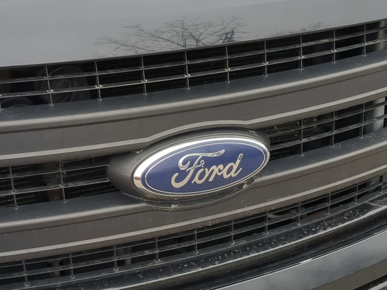 Thumbnail: 2013 Ford F-150 - 12