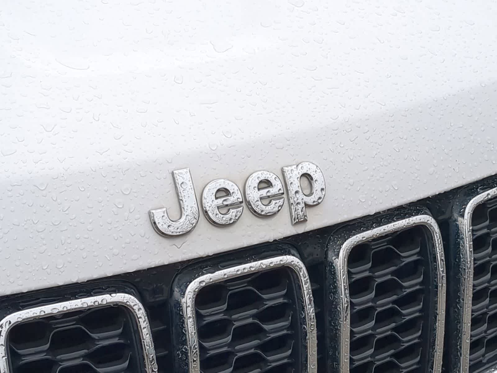 Thumbnail: 2019 Jeep Grand Cherokee - 12