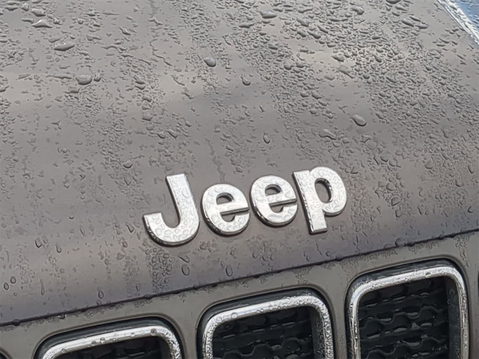 Thumbnail: 2021 Jeep Renegade - 19