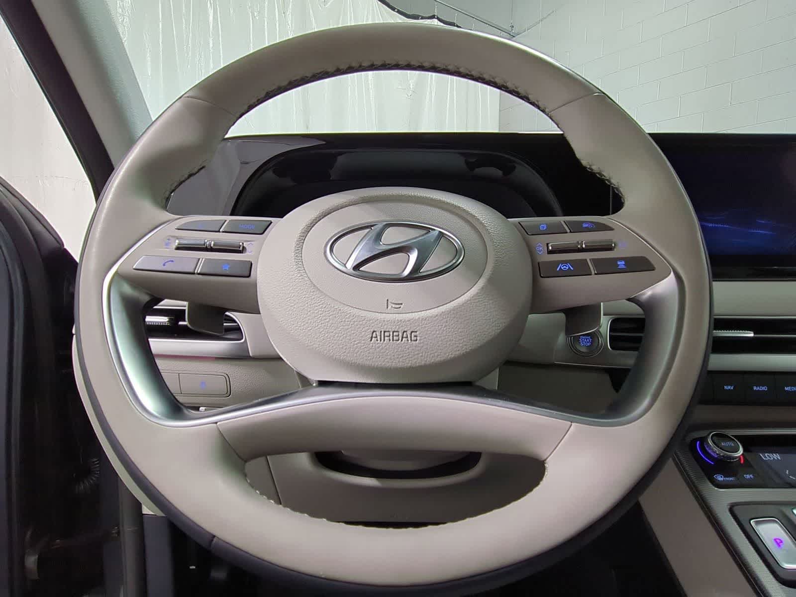 Thumbnail: 2025 Hyundai Palisade - 25