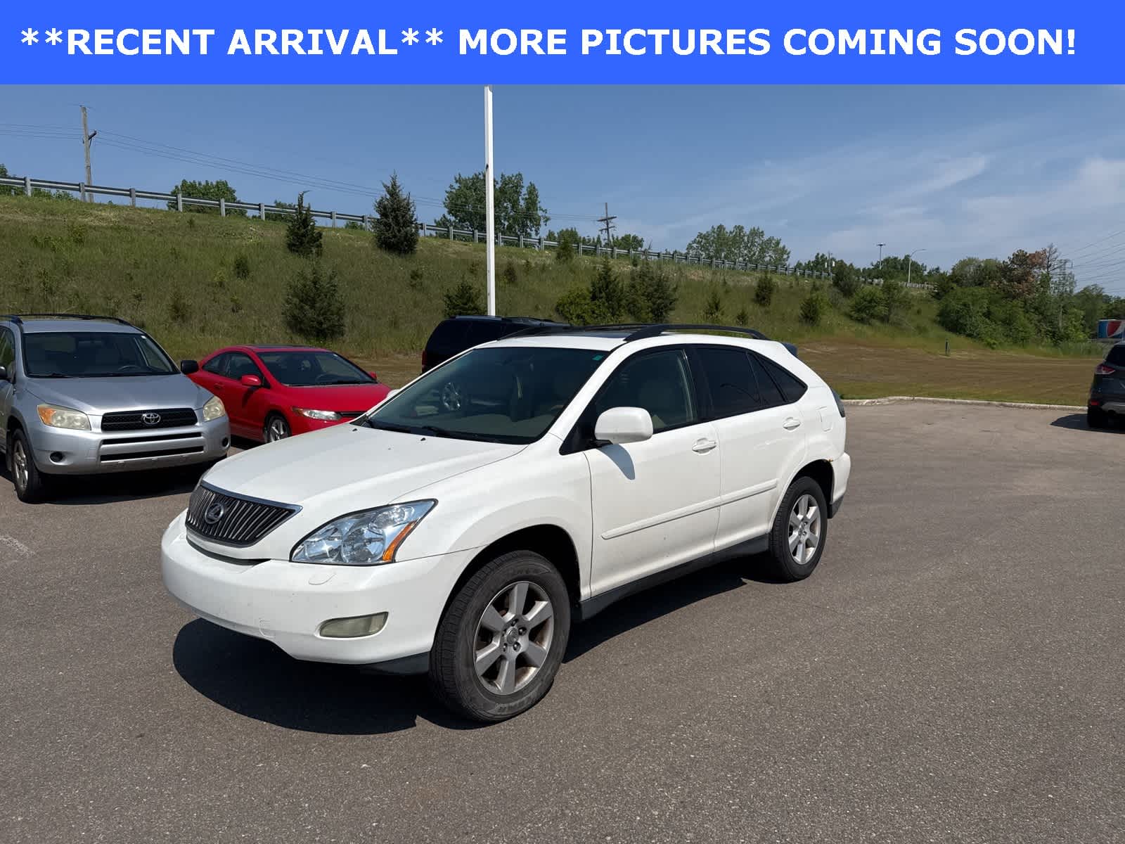2004 Lexus RX 330 -
                  Farmington Hills, MI