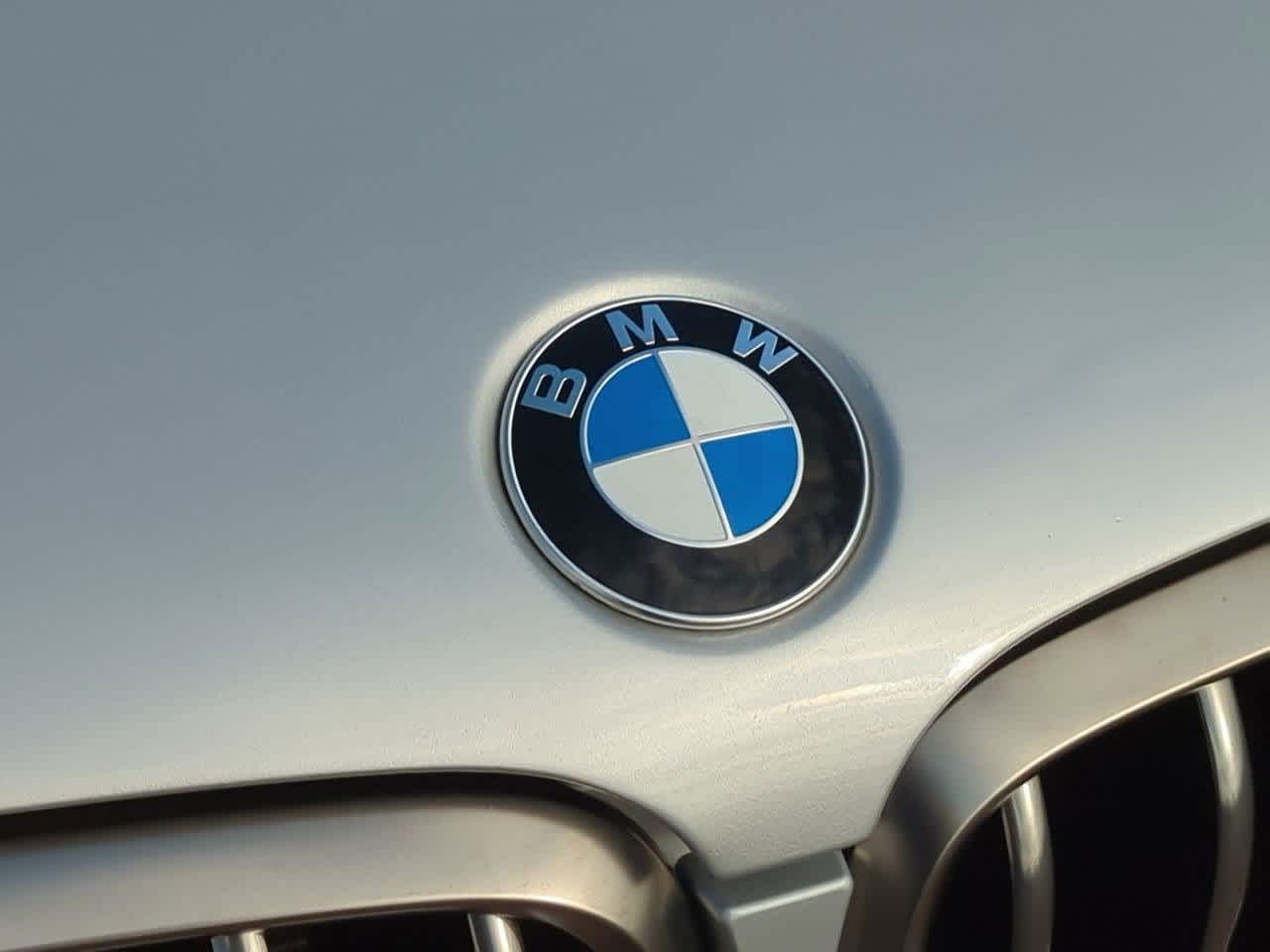 Thumbnail: 2019 BMW X6 - 11