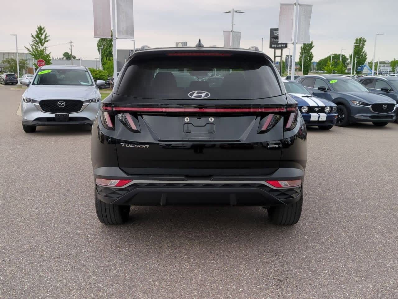 Thumbnail: 2022 Hyundai Tucson - 5