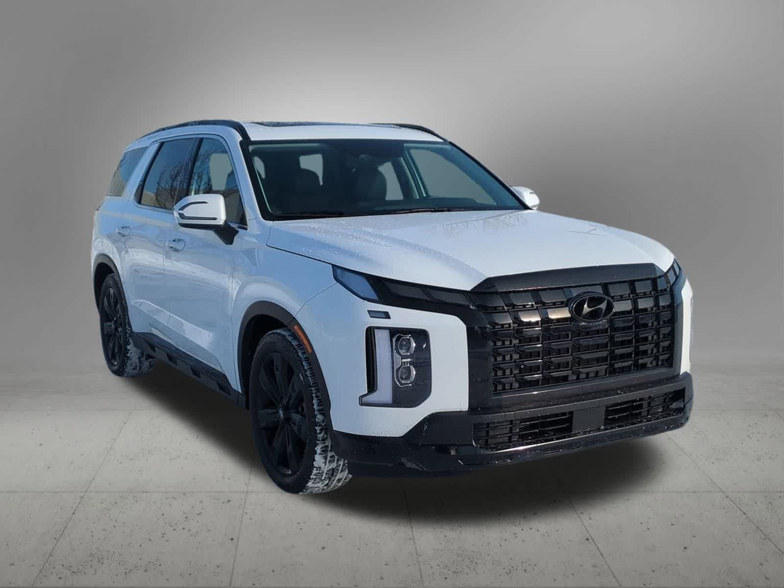 Thumbnail: 2024 Hyundai Palisade - 8