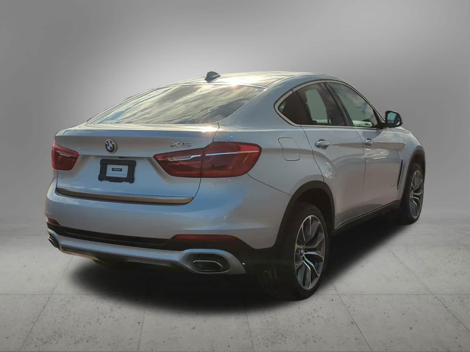 Thumbnail: 2019 BMW X6 - 6