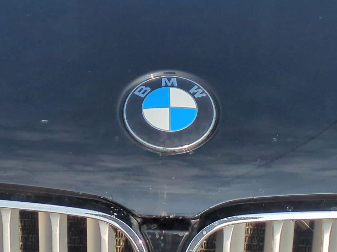 Thumbnail: 2007 BMW X3 - 11