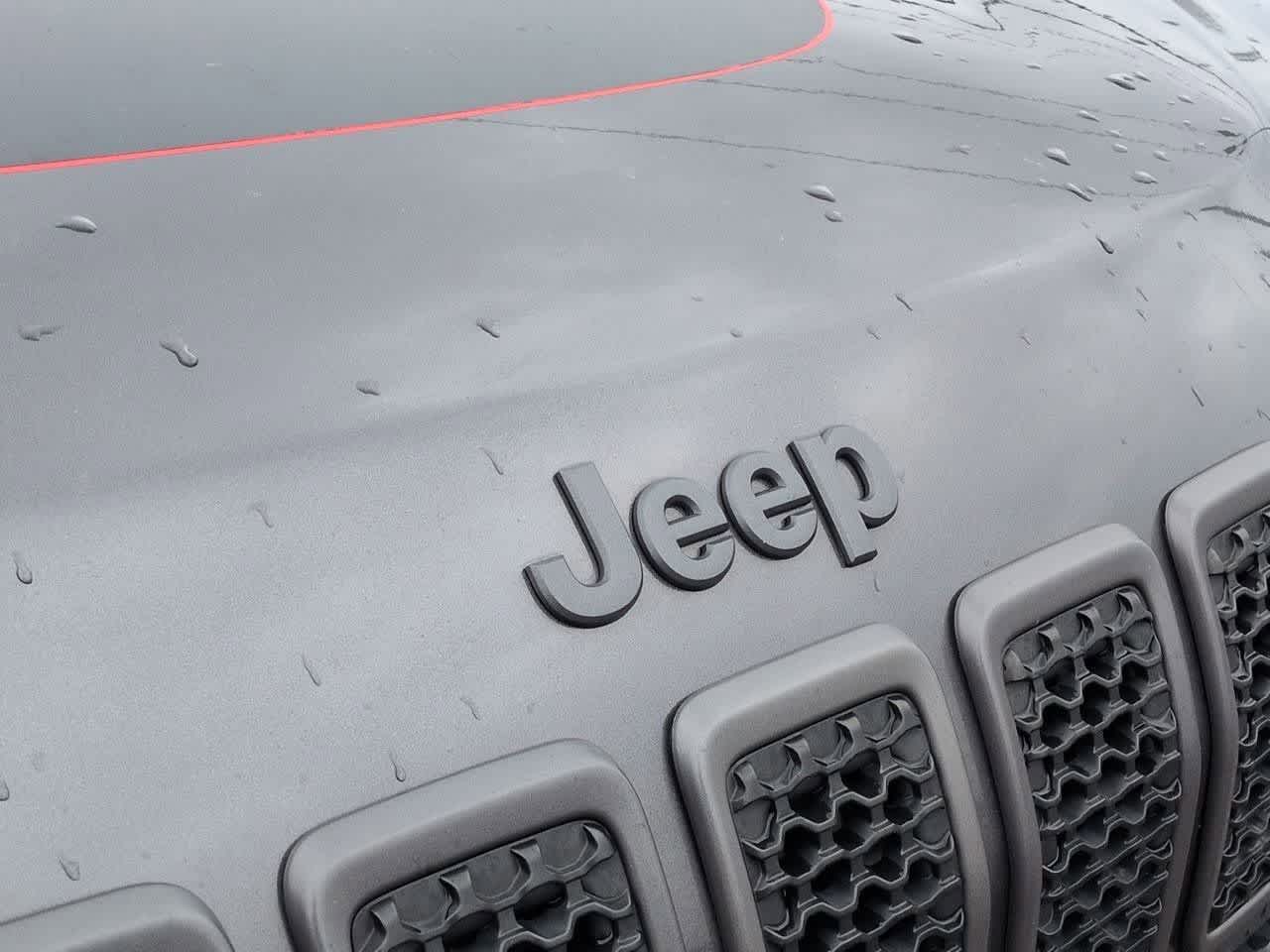 2019 Jeep Cherokee Trailhawk - Photo 11