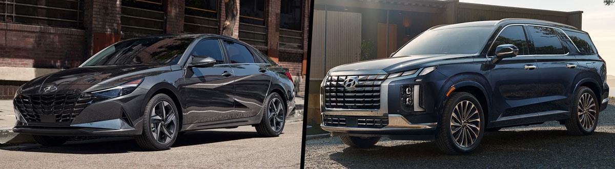 Hyundai Elantra & Hyundai Palisade