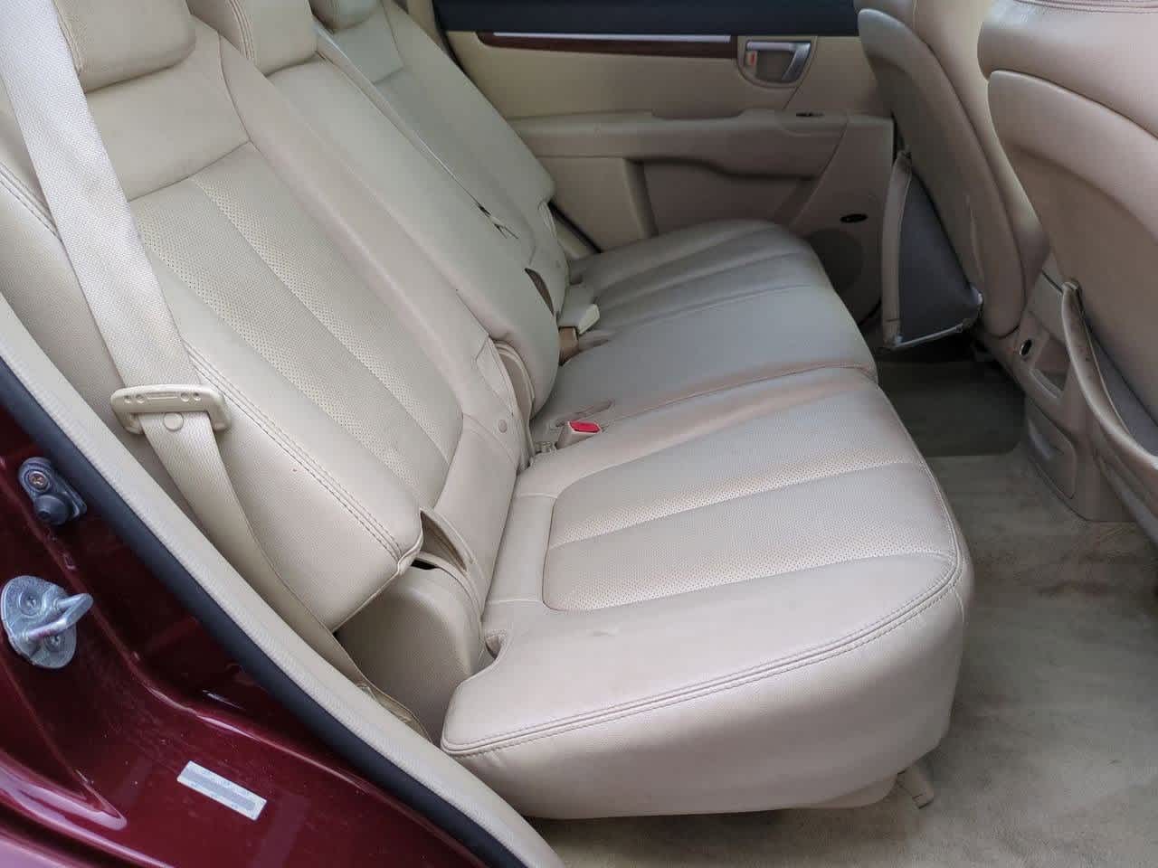 Thumbnail: 2009 Hyundai Santa Fe - 19