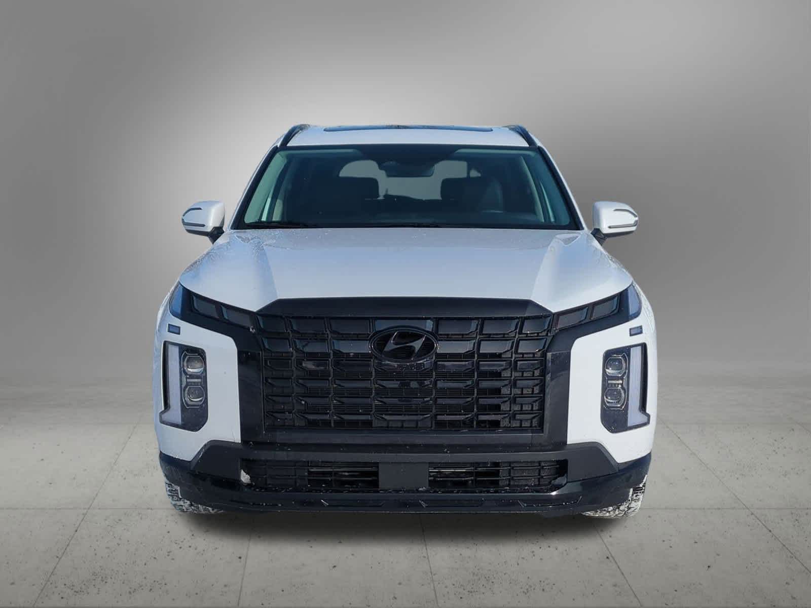 Thumbnail: 2024 Hyundai Palisade - 9