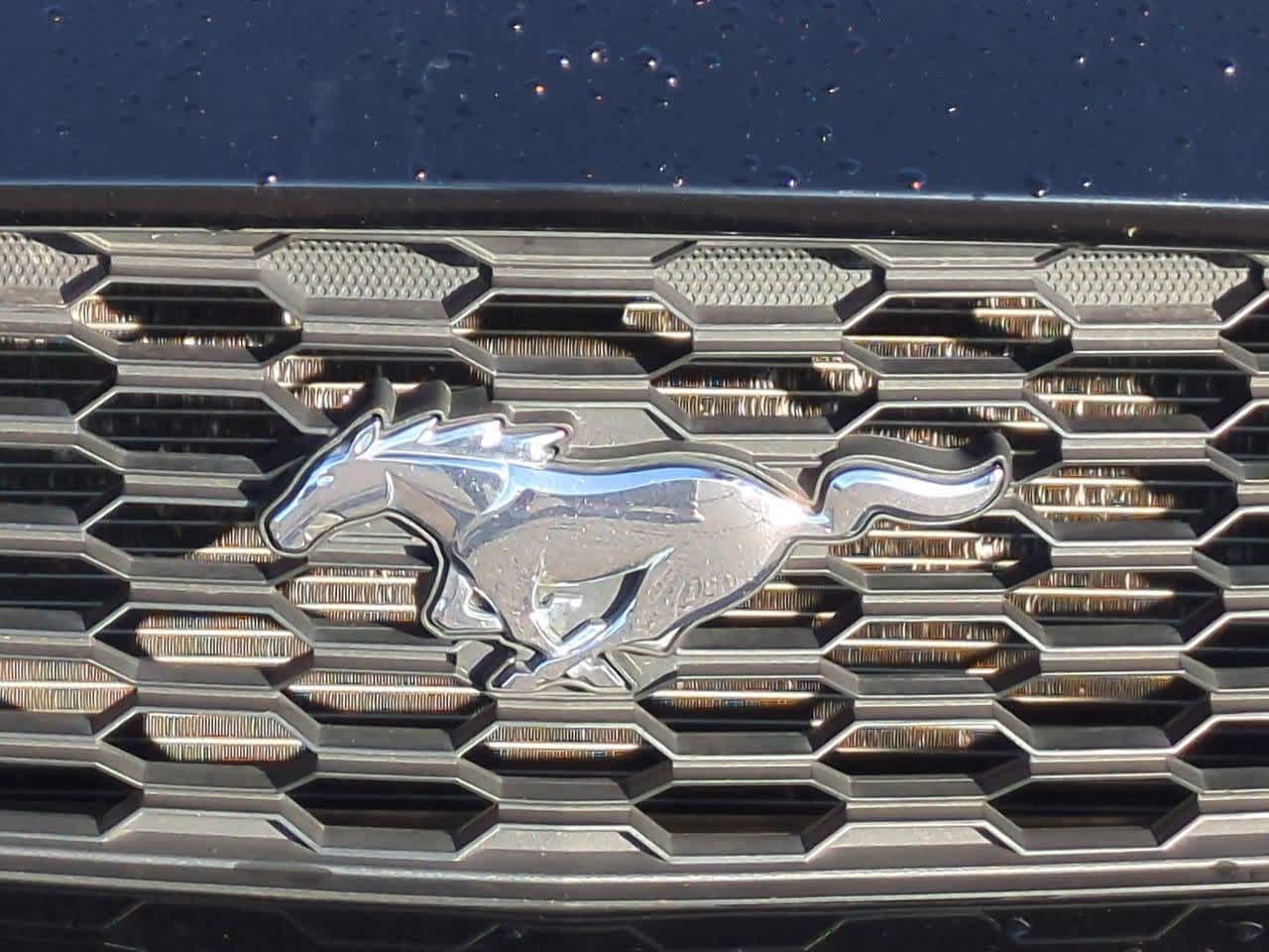 Thumbnail: 2017 Ford Mustang - 12