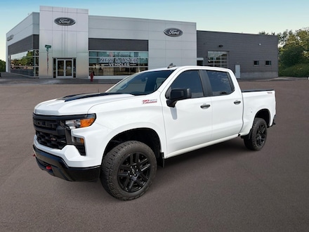 2022 Chevrolet Silverado 1500 Custom Trail Boss Truck in Ferndale, MI