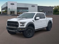 2018 Ford F-150 Raptor Truck in Waterford, MI